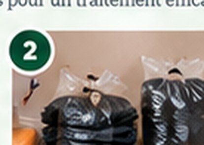 Désencombrez les pièces touchées sans transporter d’objets non emballés dans d’autres logements.