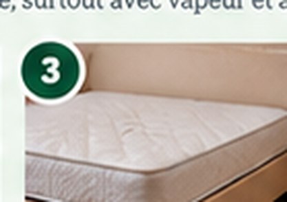 Placez textiles et literie à traiter dans des sacs fermés; faites sécher à haute température pendant au moins 30 minutes