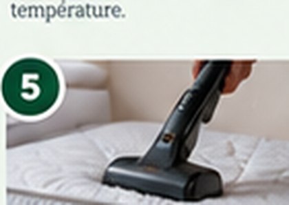 Facilitez l’accès au lit, aux plinthes et aux meubles; ne jetez pas de matelas sans consigne.