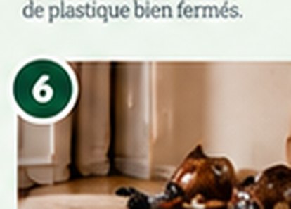 Passez l’aspirateur dans les zones indiquées; scellez les résidus et jetez-les à l’extérieur.